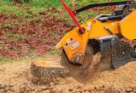 Best Lawn Disease Treatment  in Bonney Lake, WA